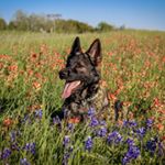 Profile Picture of Jordyn Nichols (@jos_photography17) on Instagram