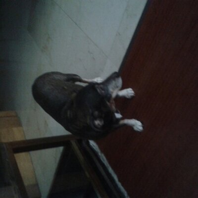 Profile Picture of José Fco Alomar (@jfalomar) on Twitter