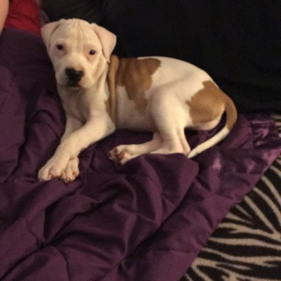 Profile Picture of Ben Vann (@BenVann2) on Twitter
