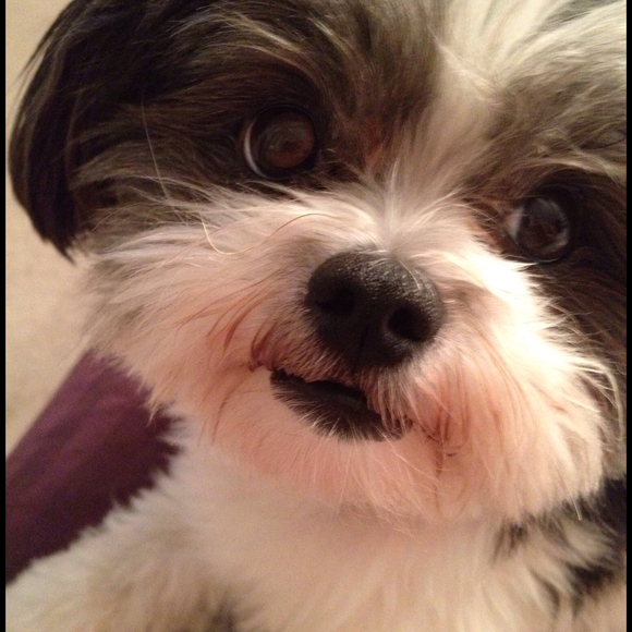 Profile Picture of Erin Gorbach (@eringorbach) on Poshmark