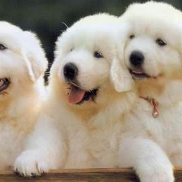 Cindy Gallegos - Poshmark Profile Picture of Cindy Gallegos (@cg42867) on Poshmark