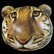 Profile Picture of Matthew Tran (@matthewtran5504) on Youtube