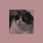 Profile Picture of Ishang Rivera (@Ishang-Rivera) on Facebook