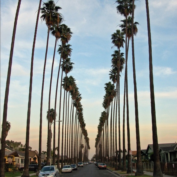 Profile Picture of Karenna Mingorance (@ming71) on Poshmark