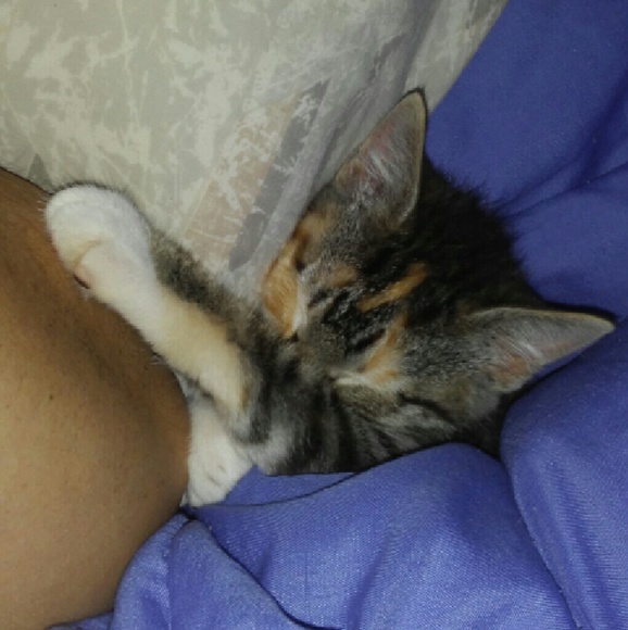 Profile Picture of Dancie Garza (@danciegarza) on Poshmark