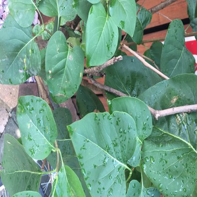 Profile Picture of Joanna Zurawski (@JoannaZurawski) on Twitter