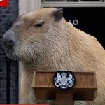 Profile Picture of Michael Boone (@michaelboone17) on Instagram