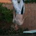 Profile Picture of Josh Weese (@josh.weese.18) on Facebook