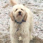 Profile Picture of Scott Arterburn (@scott.arterburn) on Instagram