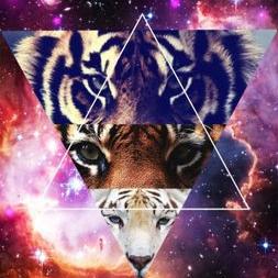 Profile Picture of Luis Mariscal (@luismariscal579) on Twitter