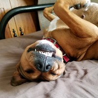 Profile Picture of Thomas Mitchem (@thomas-mitchem) on Quora