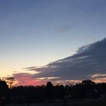 Profile Picture of Eric Shannon (@ericshannon03) on Instagram