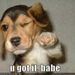 Profile Picture of Delbert Edwards (@delbertedwards) on Pinterest