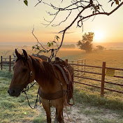 Profile Picture of Cody Smith 2w (@codysmith2w) on Youtube