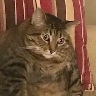 Profile Picture of Seth Haslam (@DeadZonePvP) on Twitter