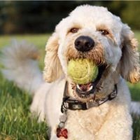 Profile Picture of Sammy Bateman (@sammy-bateman-2) on Quora