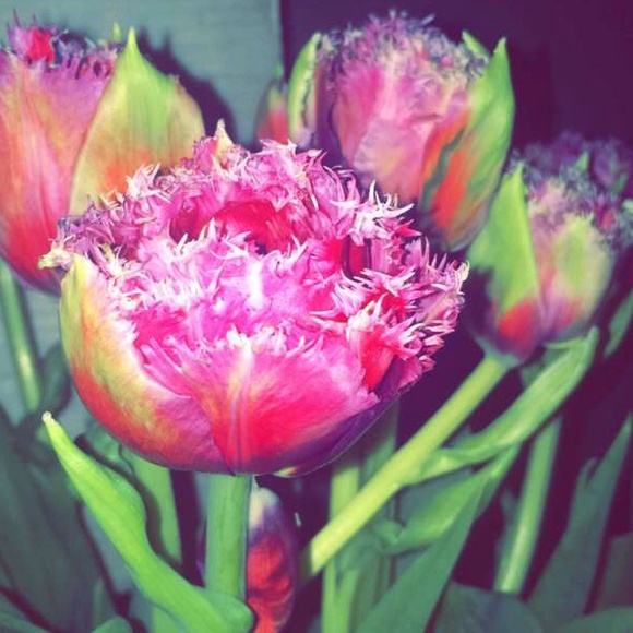 Profile Picture of Josephine Mendieta (@soccer_oo21) on Poshmark