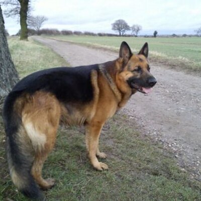 Profile Picture of Steven Newcombe (@Newcombe1S) on Twitter