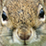 Profile Picture of sunriser2009 (@sunriser2009) on Flickr