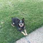 Profile Picture of Terry (@maynard.reneau) on Instagram