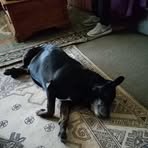 Profile Picture of Darylyn Holland (@Darylyn-Holland) on Facebook