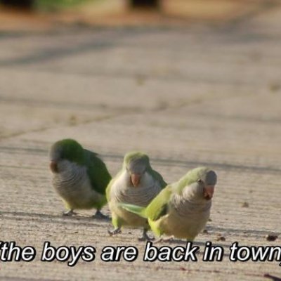 Profile Picture of James DeVries (@YahmesaYam) on Twitter