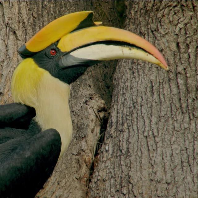 Profile Picture of gregslaughter_ (@@gregslaughter_) on Tiktok