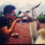 Profile Picture of Jose manuel Leonor Luna (@manuel_xvml) on Instagram