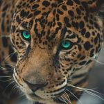 Profile Picture of Feler Barrios (@feler.34) on Instagram