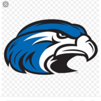 Profile Picture of Richard Hendricks (@ShorterStrength) on Twitter