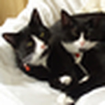 Profile Picture of Ann & Ron Hubbard (@rhubb39189) on Flickr