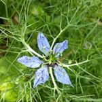 Profile Picture of Monica (@monica_neil) on Instagram