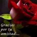 Profile Picture of Adam Carreira (@adam.carreira.90) on Facebook
