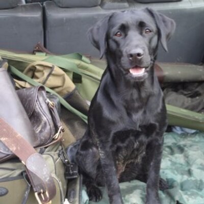 Profile Picture of Wayne Bennett (@wedgeyme) on Twitter