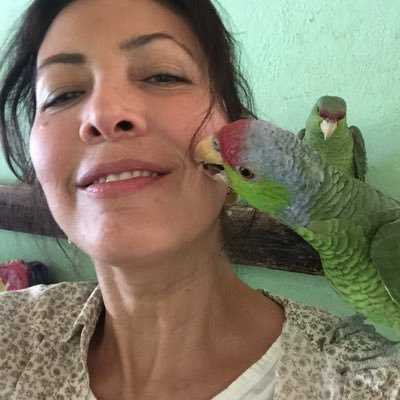 Profile Picture of Maria Aispuro (@mariaaispuro13) on Twitter