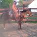 Profile Picture of Keith Devers (@keith.devers.39) on Facebook