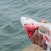 Profile Picture of Tyson Duncan (@GangstaCheeze) on Youtube