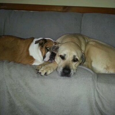 Profile Picture of Mike Krier (@krier_mike) on Twitter
