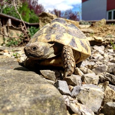 Profile Picture of Joel Hiller (@JoelHiller1) on Twitter