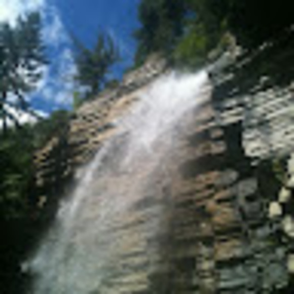 Profile Picture of Joanne Headrick (@jivheadrick) on Poshmark