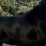 Profile Picture of Kevin Gasca (@kevinga10) on Instagram