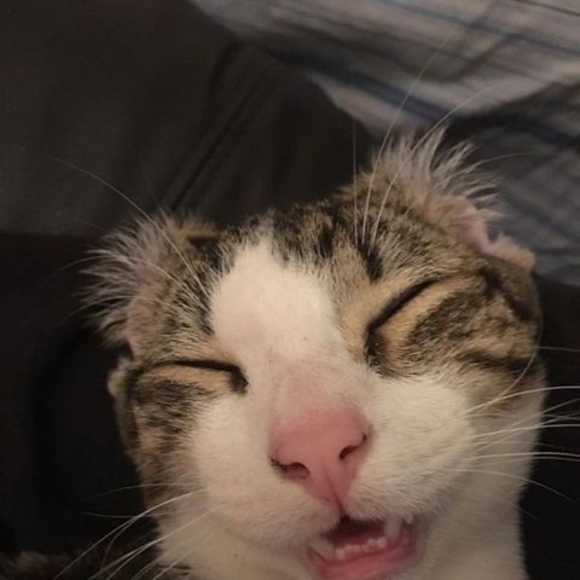 Profile Picture of Wyatt Paxson (@bobkbo) on Poshmark