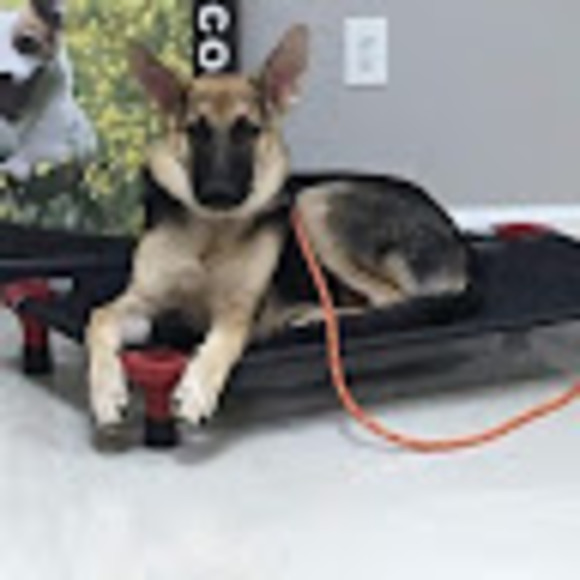 Profile Picture of Brent Farmer (@hillbilly6045) on Poshmark