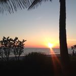 Profile Picture of Nancy Spector (@spectornancy) on Instagram