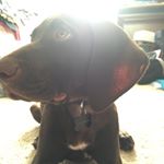 Profile Picture of Corey Phillippe (@cnp16) on Instagram