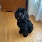 Profile Picture of Arnold Kutch (@Arnold-Kutch) on Facebook