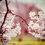 Jolanta Sobieraj - Instagram Profile Picture of Jolanta Sobieraj (@jola.s281) on Instagram