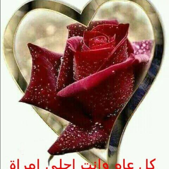 Abderrahim Bahnaik - Poshmark Profile Picture of Abderrahim Bahnaik (@abdo71) on Poshmark