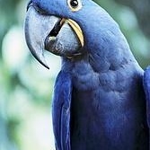 Greg Tenner - Myspace Profile Picture of Greg Tenner (@therealcervical) on Myspace