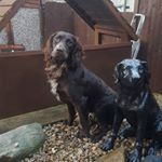 Profile Picture of Peter Wilkinson (@peter4291) on Instagram